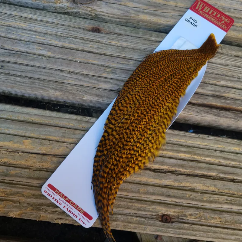 Whiting 1/2 Pro-Grade Dry Fly Rooster Cape in Grizzly Dyed March Brown